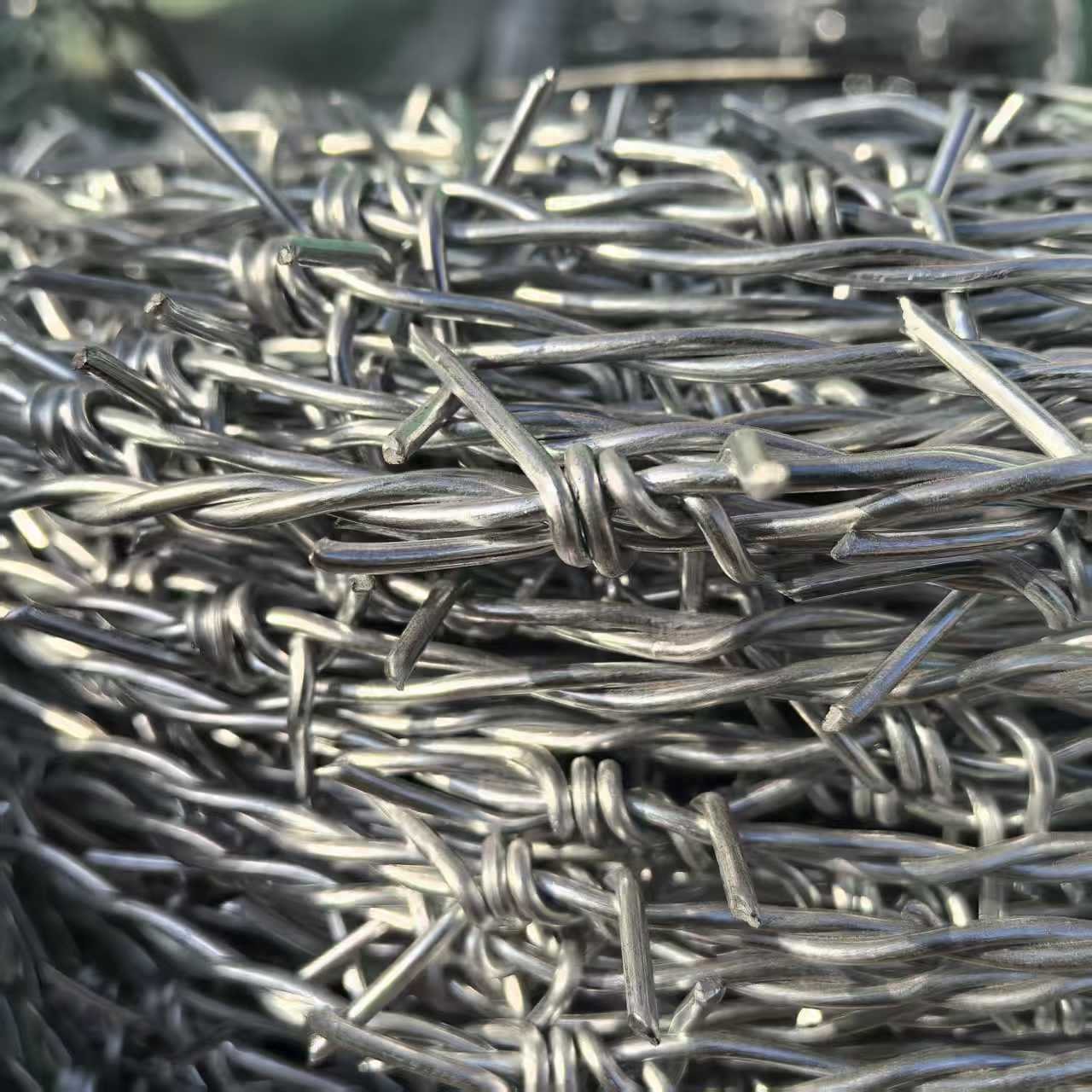 Barbed wire barb detail close-up